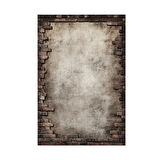 Dekoreko Kaymaz Taban Djt Salon Halısı Star Pamuk Modern F5049