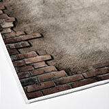 Dekoreko Kaymaz Taban Djt Salon Halısı Star Pamuk Modern F5049