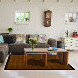 Alanur Home Kaymaz Taban Djt Banyo Mutfak Salon Halı Star Pamuk Dokuma Desen E5007