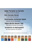 Opus Yağlı Boya 170ml 5 Renk Başlangıç Seti Pigmentora Oil Colour