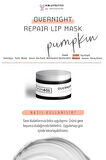Skin401 Onarıcı Gece Dudak Bakım Maskesi 20ml (LİP SLEEPİNG MASK)