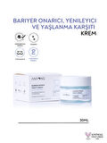 Anyong Bariyer Onarıcı, Yenileyici ve Yaşlanma Karşıtı Krem 50 ml ( Yeşil Çay & Bakuchiol & Bifida)