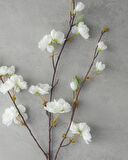 English Home Sakura Tek Dal Yapay Çiçek Beyaz