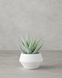 English Home Aloevera Plastik Vazolu Yapay Çiçek Yeşil