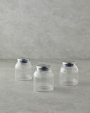 English Home Sinna Borosilikat 3'lü Baharatlık 450 ml Şeffaf
