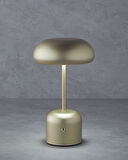 Blanca Dekoratif Aydınlatma 27 cm Gold