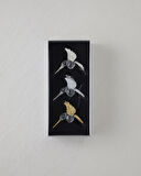 Calida Askılı Aksesuar Multicolor