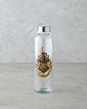 Harry Potter Cam Lisanslı Şişe 500 ml Renkli