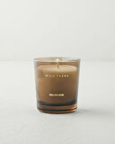 Wild Terra Kokulu Mum 120 gr Şeffaf