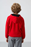Kırmızı Kalın Yumuşak Dokulu Standart Fit Nakışlı Polar Erkek Çocuk Sweatshirt - 11230