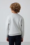 Taş Pamuklu Kalın İçi Tüylü Yumuşak Dokulu Standart Fit Nakışlı Erkek Çocuk Sweatshirt - 11232