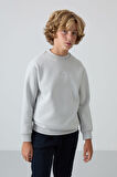 Taş Pamuklu Kalın İçi Tüylü Yumuşak Dokulu Standart Fit Nakışlı Erkek Çocuk Sweatshirt - 11232