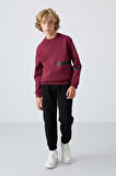 Erguvan Pamuklu Kalın İçi Tüylü Yumuşak Dokulu Standart Fit Baskılı Erkek Çocuk Sweatshirt - 11238