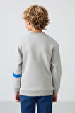 Taş Pamuklu Kalın İçi Tüylü Yumuşak Dokulu Standart Fit Baskılı Erkek Çocuk Sweatshirt - 11238