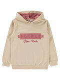 Civil Boys Erkek Çocuk Sweatshirt 103 Yaş Taş