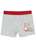Civil Boys Erkek Bebek Boxer 98 Ay Boxer  Gri