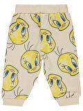 Tweety Kız Bebek Eşofman Altı 6-18 Ay Taş Rengi