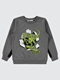 Civil Boys Erkek Çocuk Sweatshirt 2-5 Yaş Antrasit