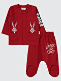 Bugs Bunny Erkek Bebek Pijama Takımı 1-6 Ay Kırmızı