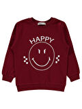Civil Boys Erkek Çocuk Sweatshirt 2-5 Yaş Bordo