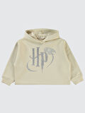 Harry Potter Kız Çocuk Sweatshirt 6-9 Yaş Tebeşir