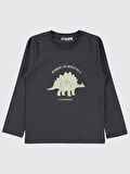 Civil Boys Erkek Çocuk 2'li Sweatshirt 5-13 Yaş Antrasit