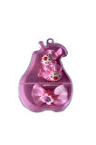 Pembe Kutulu Toka Set