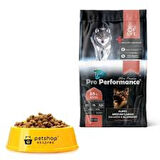 12 KG PRO PERFORMANCE KÖPEK MAMASI PUPPY MEDİUM LARGE SOMONLU