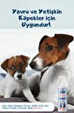 Köpek Parfümü Sprey