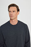 Standart Fit Normal Kesim 2 İplik Recycle Pamuklu Bisiklet Yaka Sweatshirt