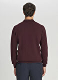 Altınyıldız Classics Polo Yaka Standart Bordo Erkek Kazak ACE043261436_BRD