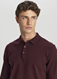 Altınyıldız Classics Polo Yaka Standart Bordo Erkek Kazak ACE043261436_BRD