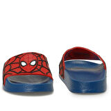 Spiderman Monet Erkek Çocuk Terlik 101645406
