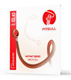 Pitbull Mutant Seri MAG 12-53 L Takım Tel Akustik Gitar Teli 12-53