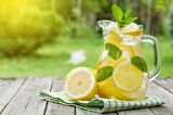  PRAFENDY EV YAPIMI TADINDA GERÇEK MEYVE TANELİ TOZ LİMONATA 1 Kg
