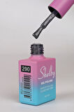 SHELBY 10 ML. A290 DİSCO & KEDİ GÖZÜ KALICI OJE
