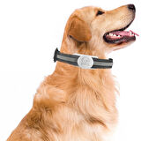 Buff TagSafe Dogcol Taşınabilir Anahtarlık AirTag Kılıf White