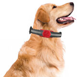Buff TagSafe Dogcol Taşınabilir Anahtarlık AirTag Kılıf Red