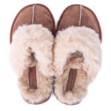 Pierre Cardin 54392 Kadın Disqu TüylüTerlik