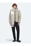 Vizon Regular Fit Dik Yaka Casual Dokuma Mont