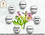 Citronella Uçucu Yağı 10 ml. %100 Saf