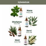 Breathe Relax Nefes Açıcı Burun Yağı   10 Ml.