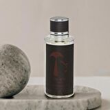 Plain Nadir Kolonya 100ml