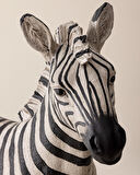 Harvey Büst - Siyah/Beyaz