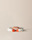 Cabaret Biblo - Turuncu/Beyaz