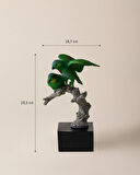Quill Biblo - Renkli