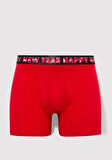Yılbaşı Temalı Basic Boxer 0911733-32421