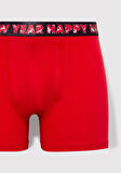 Yılbaşı Temalı Basic Boxer 0911733-32421