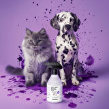 Docho Koku &Leke Giderici Enzimatik Sprey 500 ML