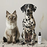 Docho Koku &Leke Giderici Enzimatik Sprey 50 ML